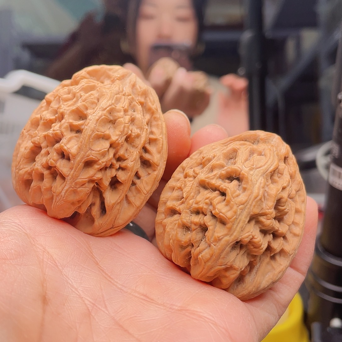 40以下红锦鲤100棱