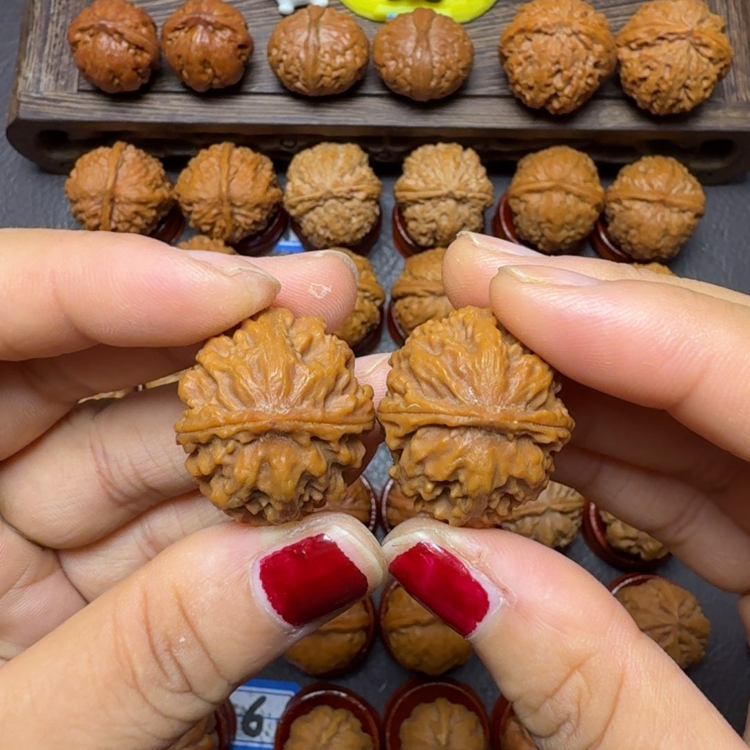 钢***板把件文玩核桃27尺霸王龙福利