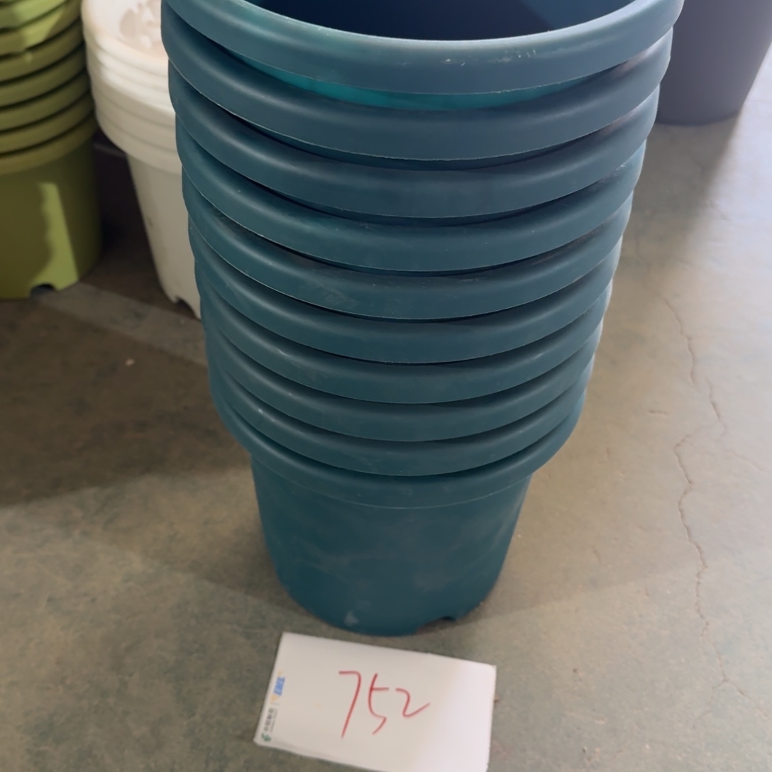 编号752微瑕口径21