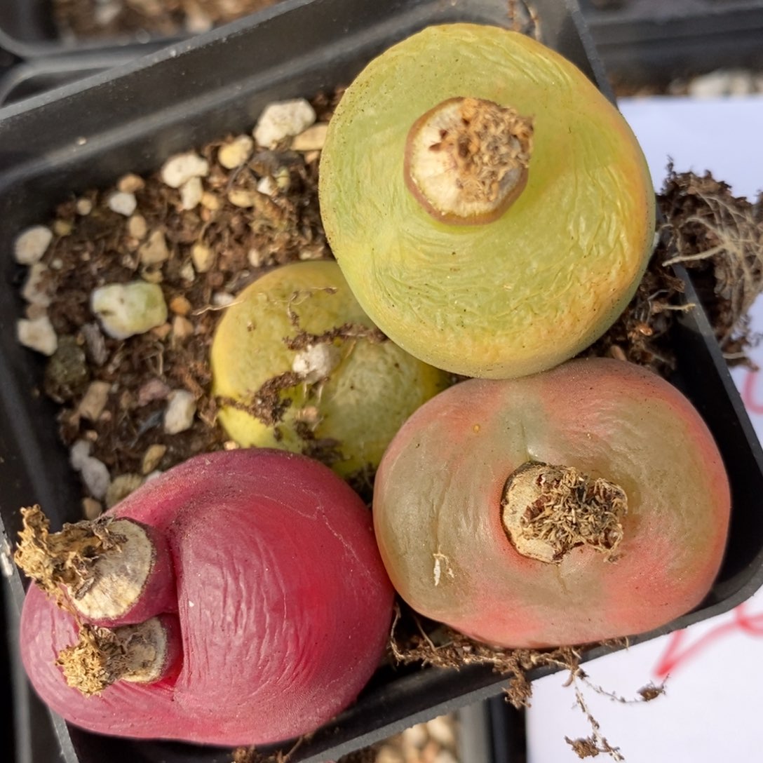 1264一组一组一组