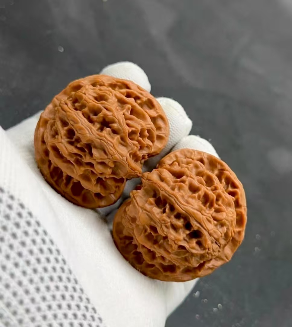 文玩核桃老树苹果园