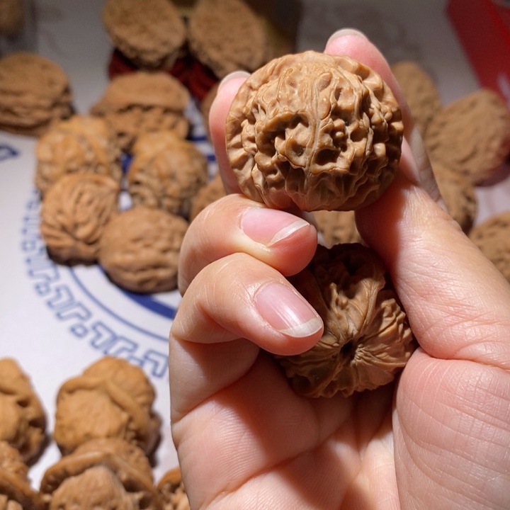 把件文玩核桃野生龙眼