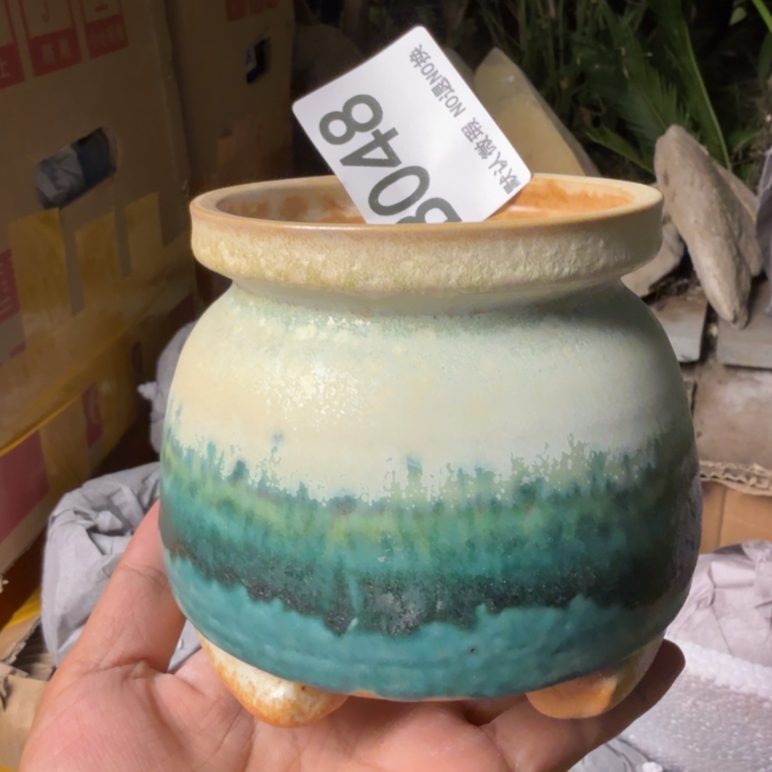重庆小燕子欢迎大家048