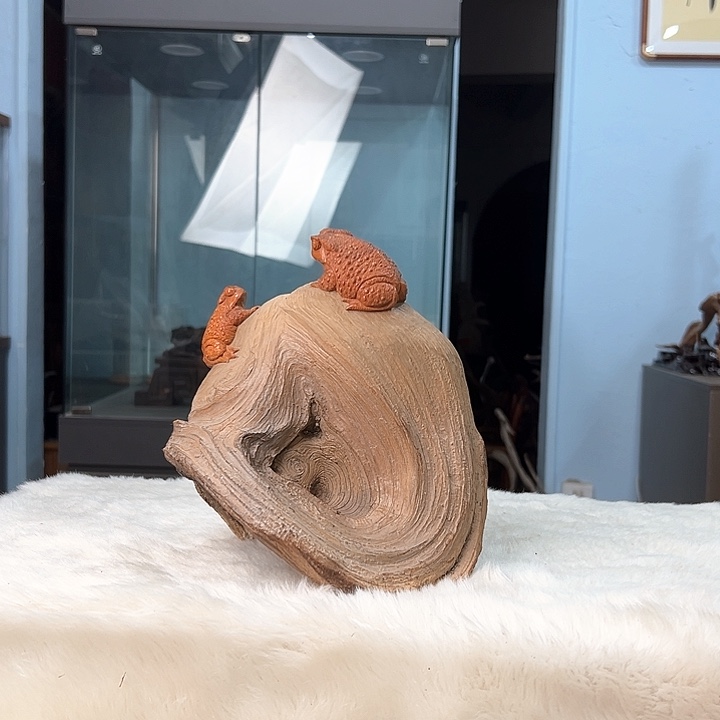 柏木往****f我们的生活是一场游戏