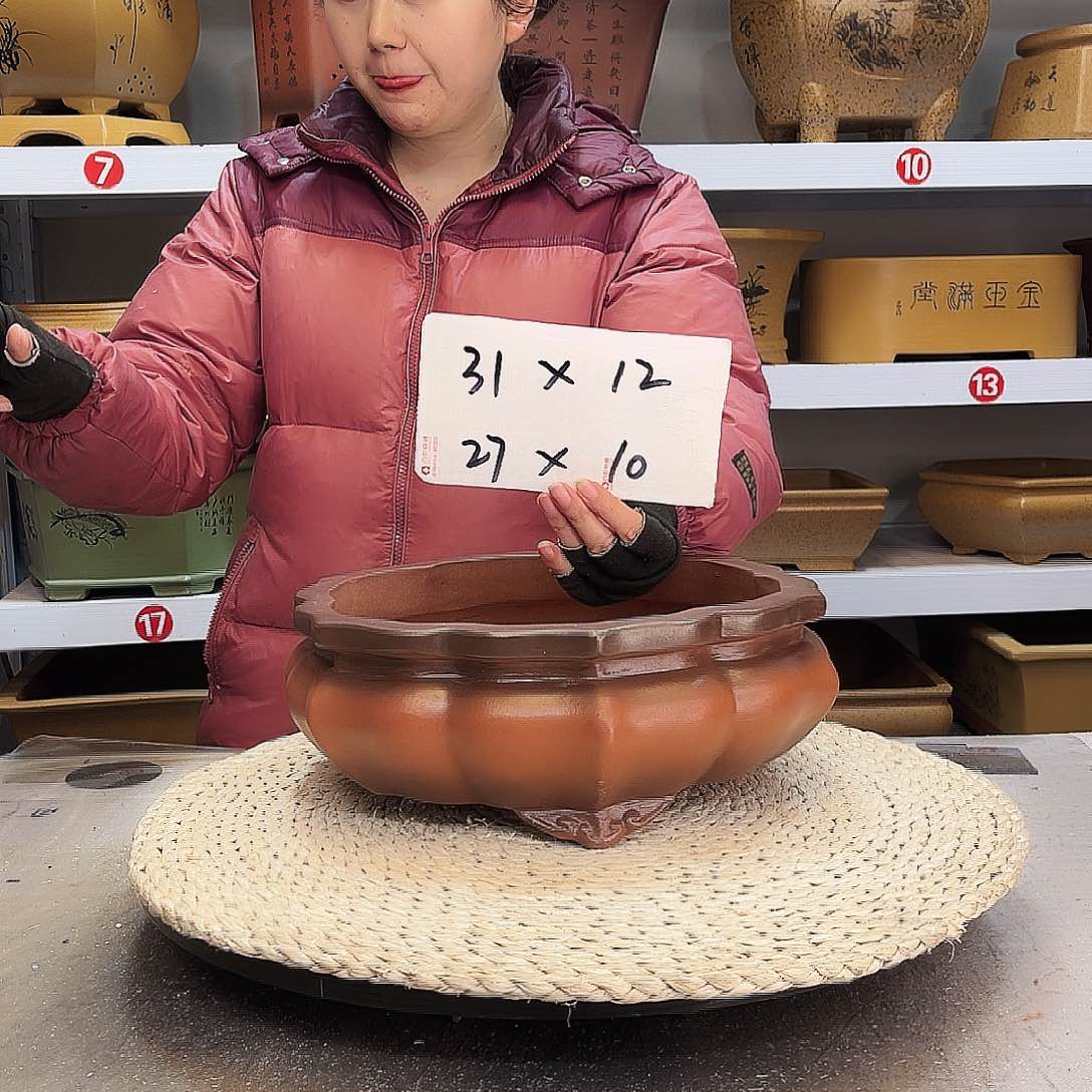 紫砂花盆紫砂花盆