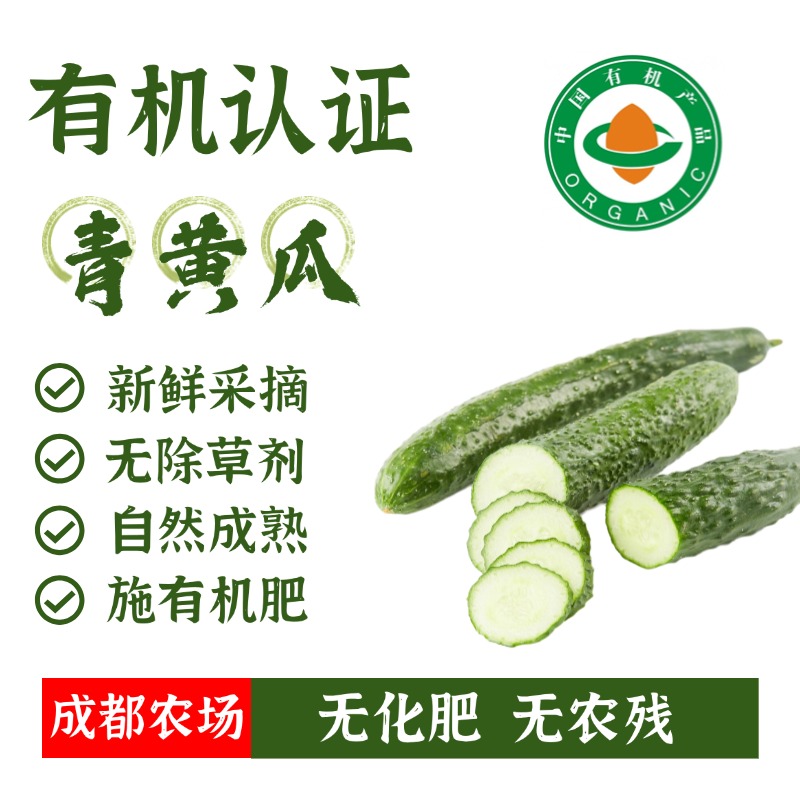 MUFENGYUAN/沐丰园新鲜现摘带刺长白玉有机认证生吃小黄瓜黄瓜