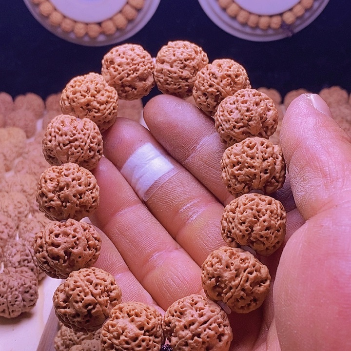 手串金刚菩提五星峰王