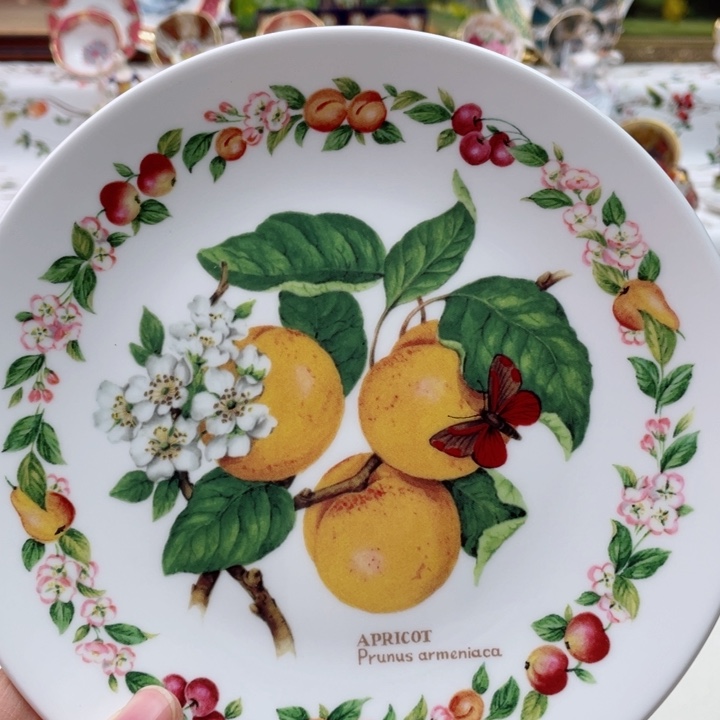 盘维多利亚欧洲中古