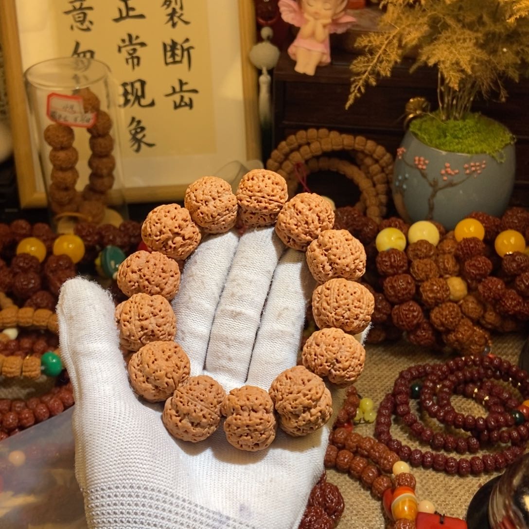 金刚菩提手串带**猬255原籽霸王龙一物一图P