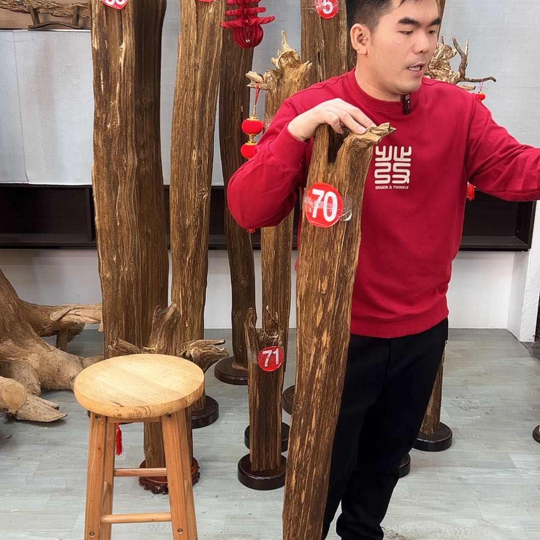 沉香摆件海南沉香摆件