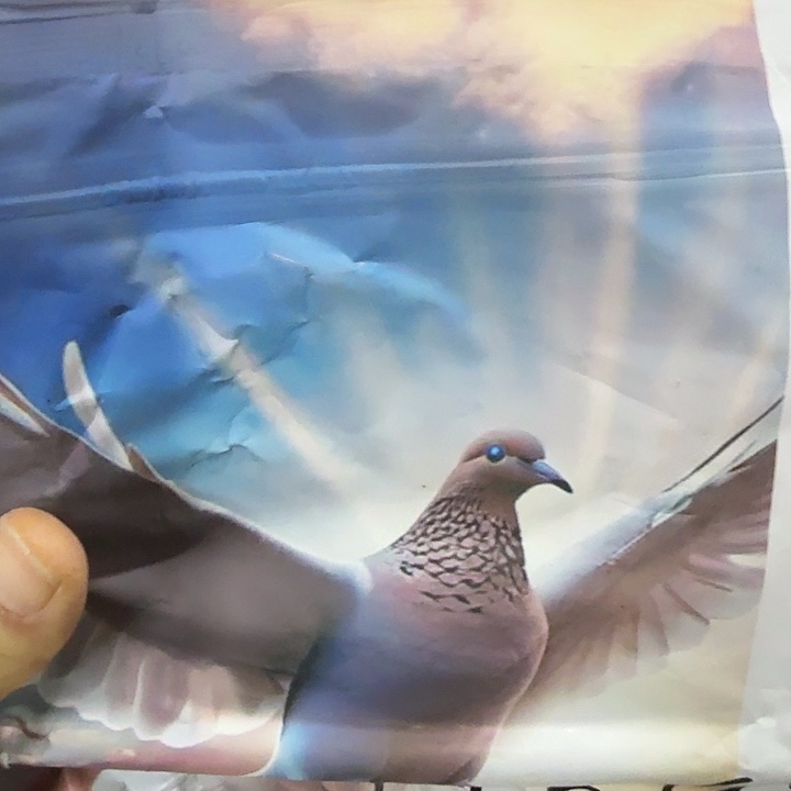 京仓好物优选9.9元包邮