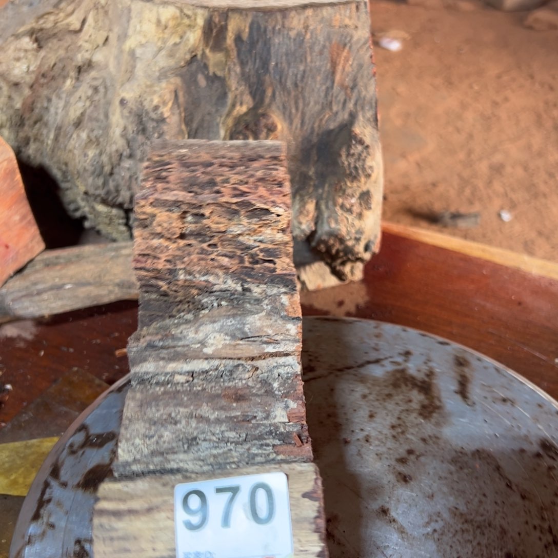 大果紫檀（缅甸花梨）