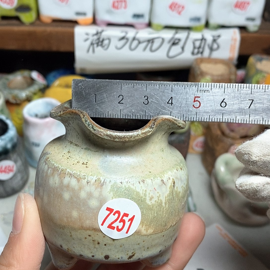 红陶拍5送一个小