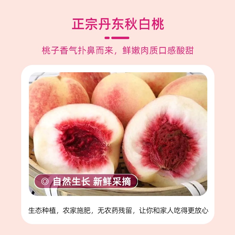 [树尖果]丹东秋白桃软糯酸甜当季新鲜水果酸甜绵密