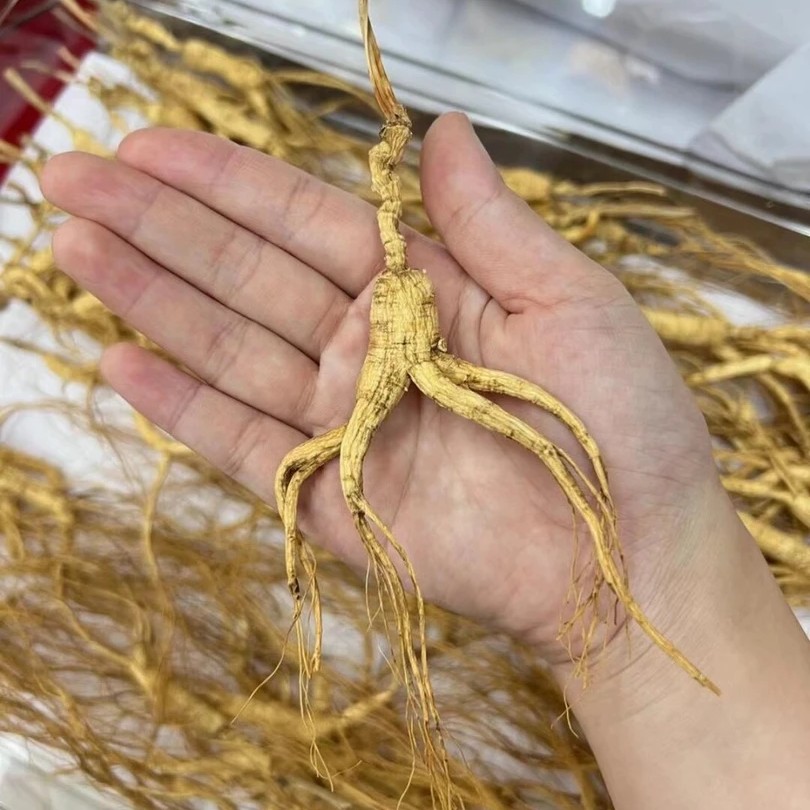 云南林下参干货整枝可泡酒煲汤山参