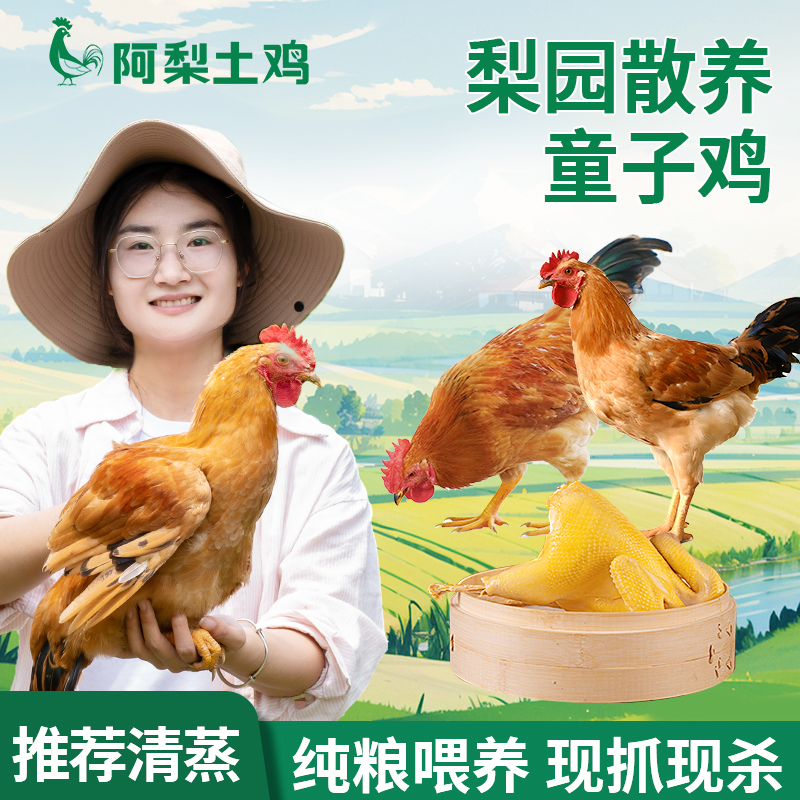 童子鸡仔公鸡小公鸡散养公鸡果园农家土鸡现抓现杀冷鲜发货