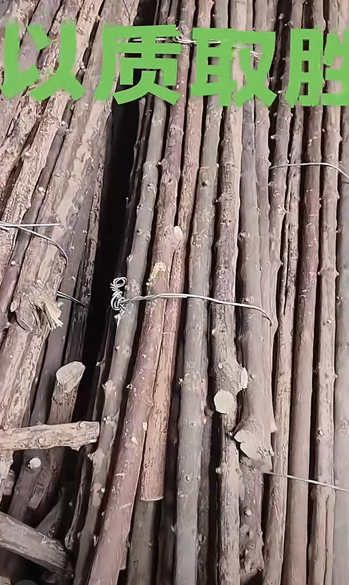 拐杖老人专用烟杆车载棍六道木枪杆料武术棍登山杖鞭杆