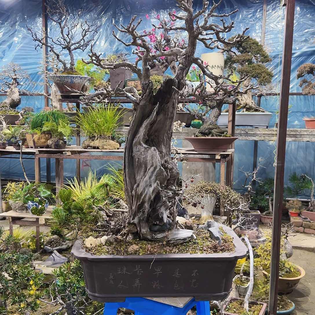 11111111111任*11111111111111111