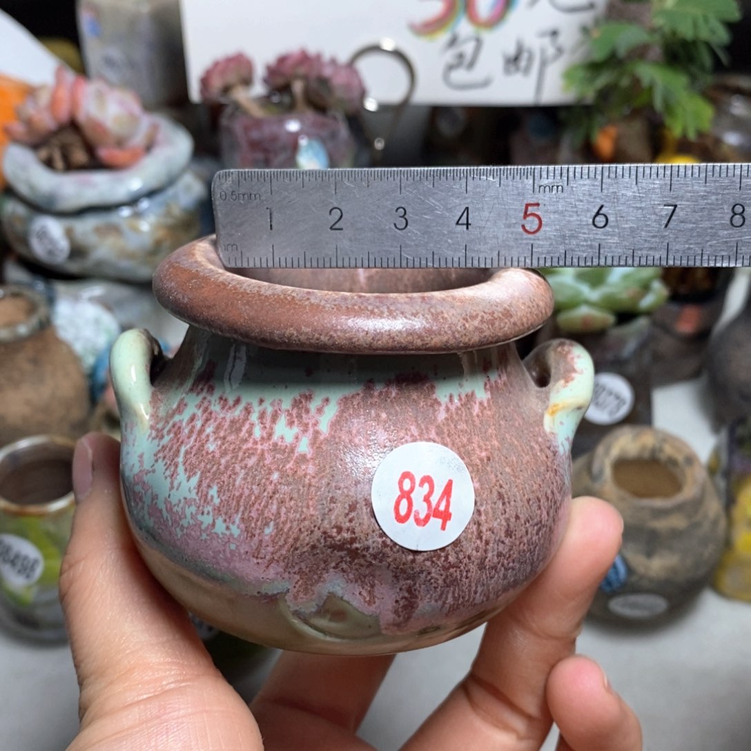 花盆拍3送一个小礼物