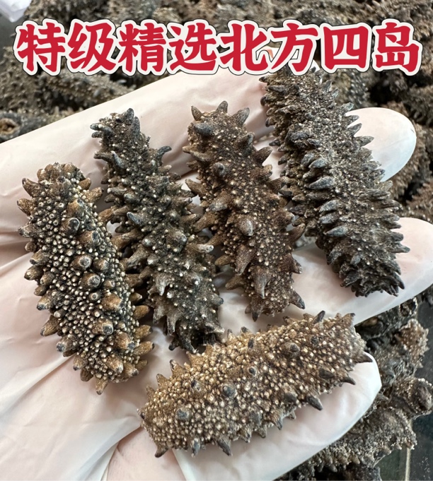 野-超A级足干-四岛大红参-纯淡干-高泡发红刺参-营养价值高