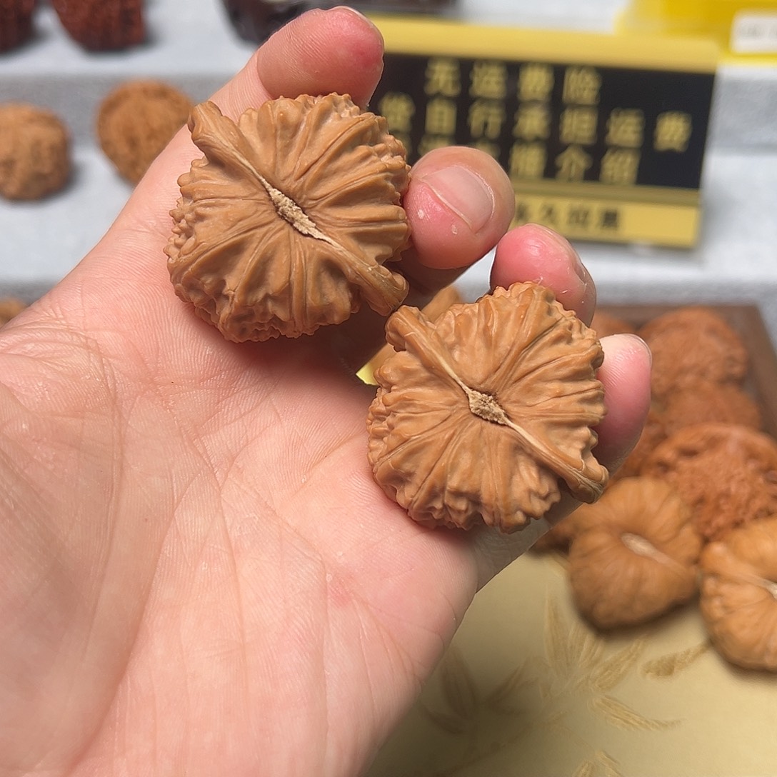 @***森把件文玩核桃全品白狮子