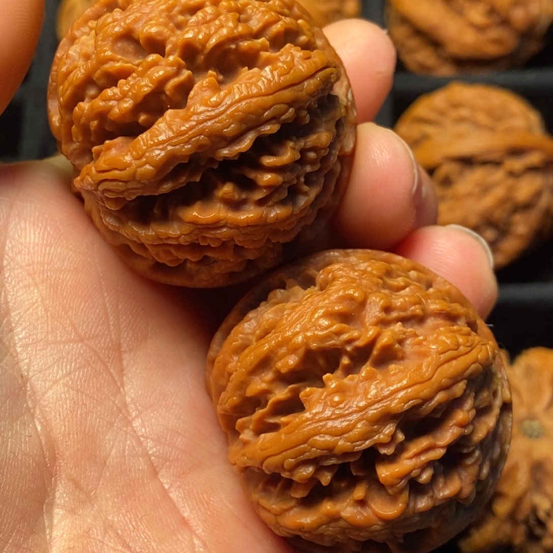 文玩核桃把件秦岭山脉核桃