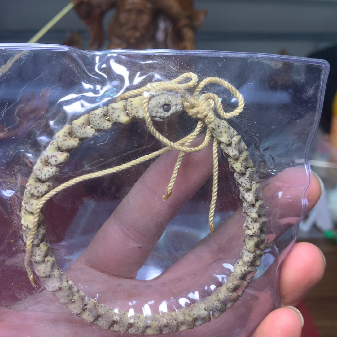 核桃把件蛇头龙骨雕刻菩提