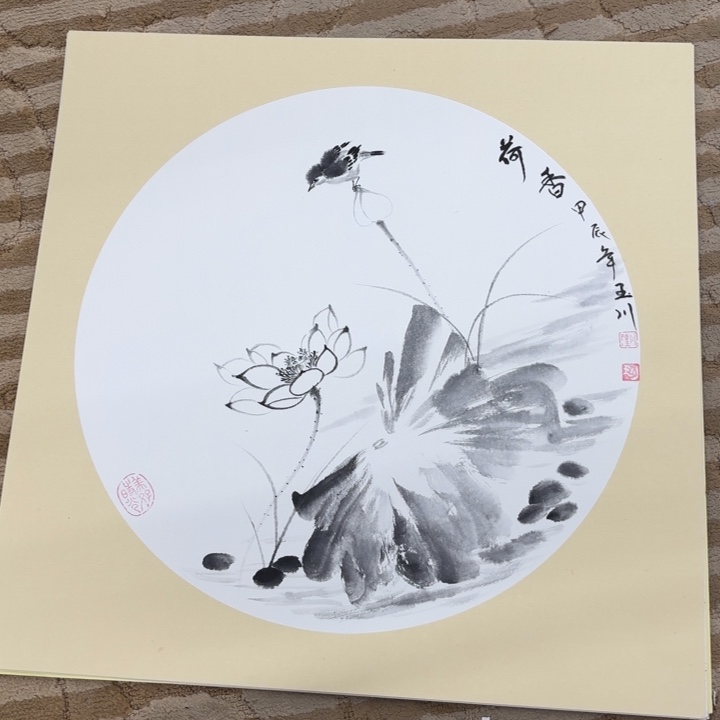 国画花鸟等多种鸟类50.50