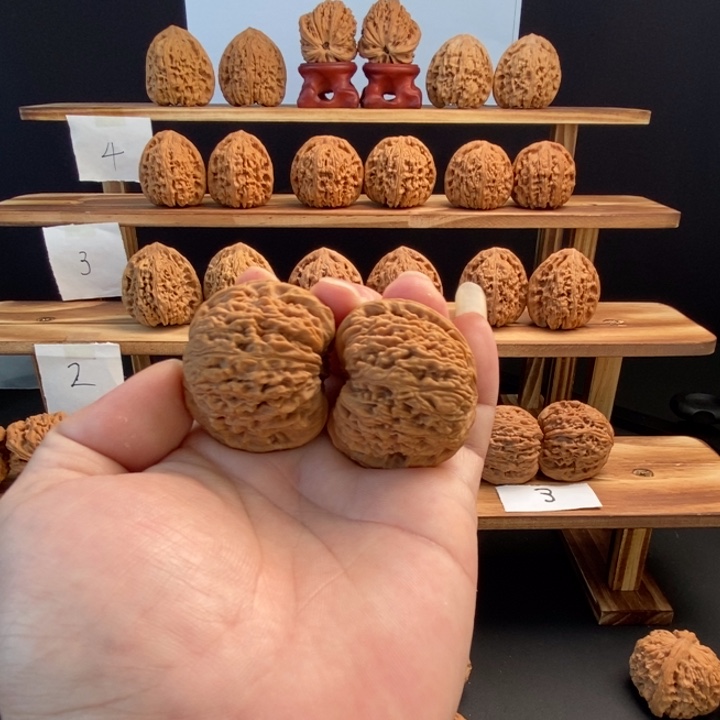 光***桃核把件南疆石蚂蚁拉丝纹尺寸40