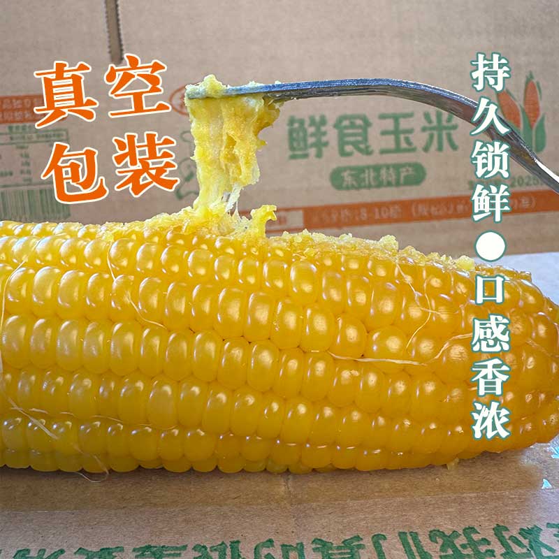 东北特产黄糯九玉米 软糯香甜 嘎嘎好吃 博斯糯九号