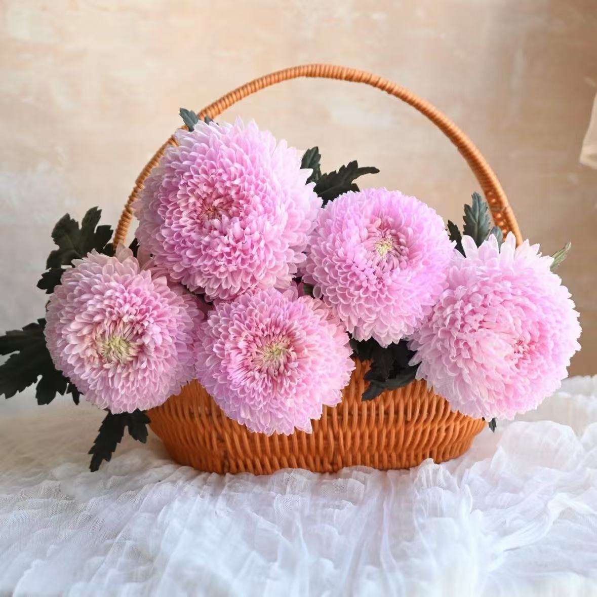 【植迷不误】牡丹菊 高端鲜切花  插花 云南鲜花基地包邮直发 