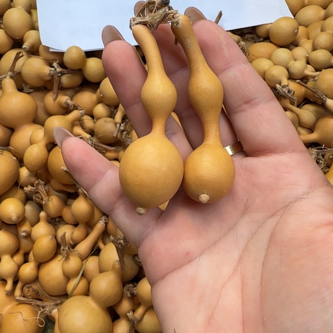 永***店葫芦无售后默认微瑕