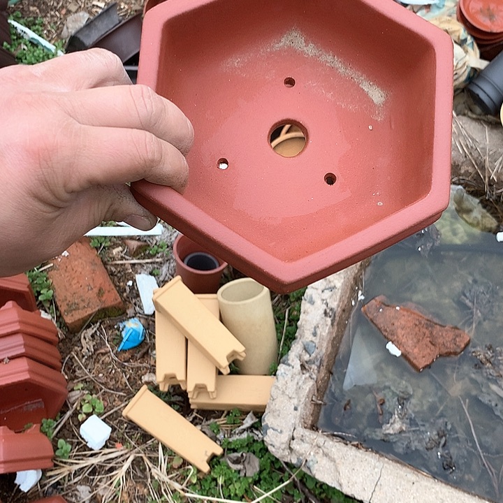 紫砂没有那么重要的人在我们心中