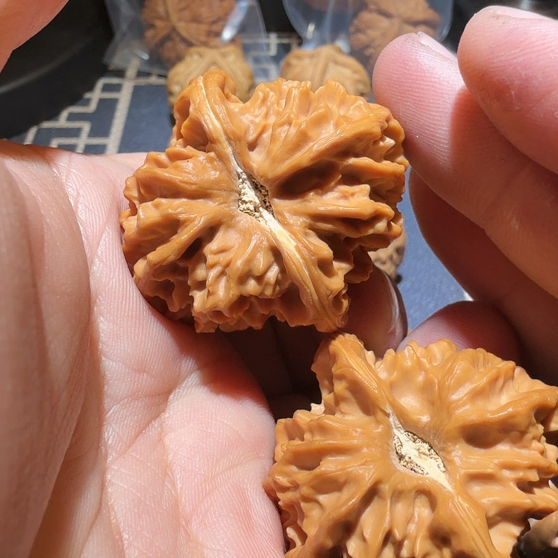 文玩核桃把件曹大龙