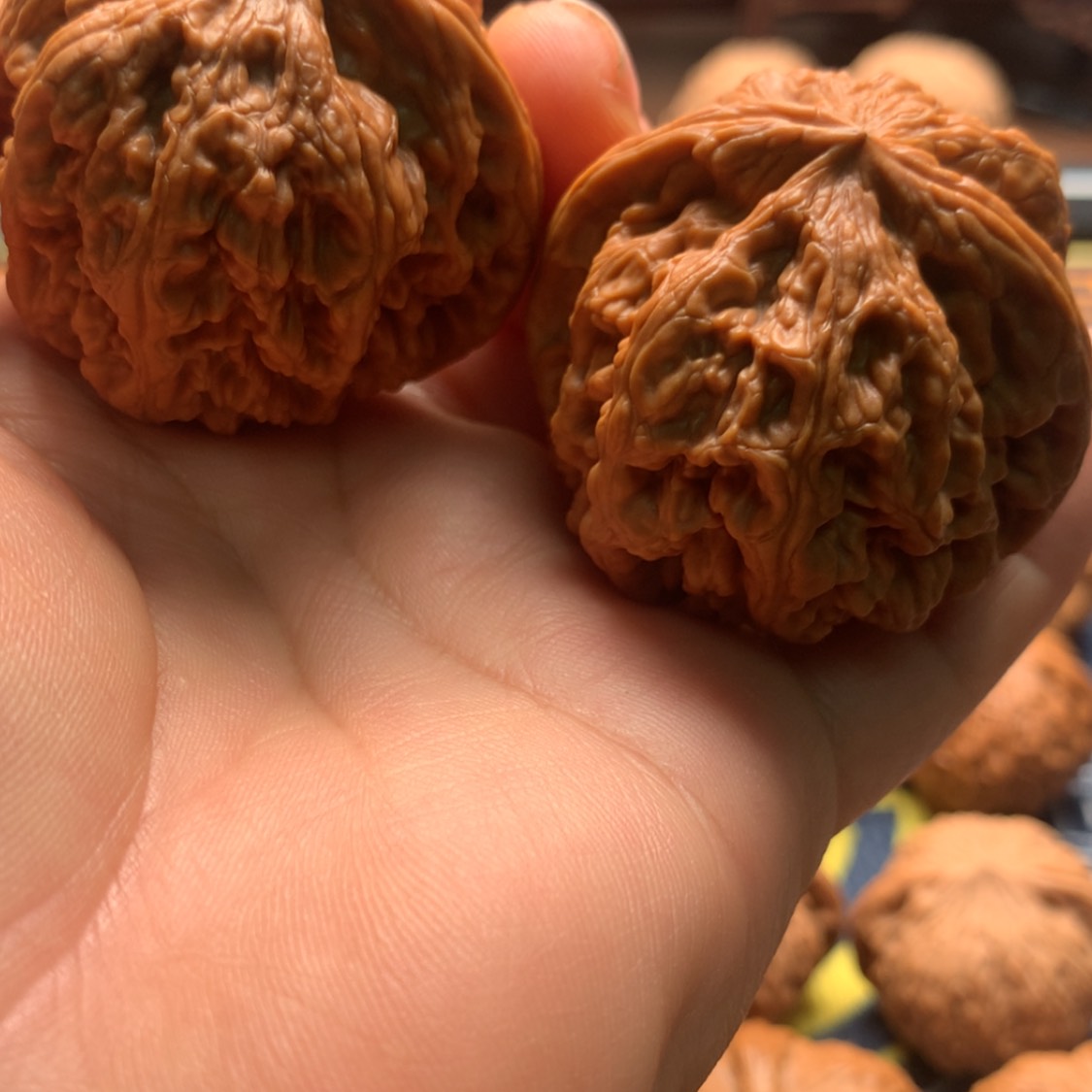 【闪购商品】把件文玩核桃粗筋44