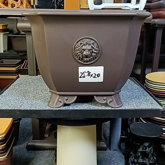 6只25.8cm大号狮头切角四方盆