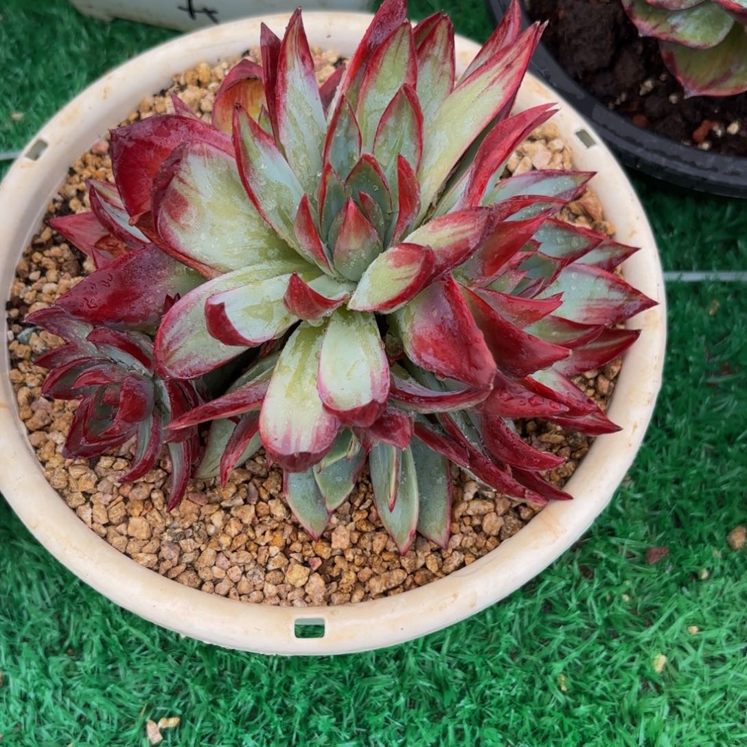 小***8哈哈哈哈哈哈哈哈哈哈哈