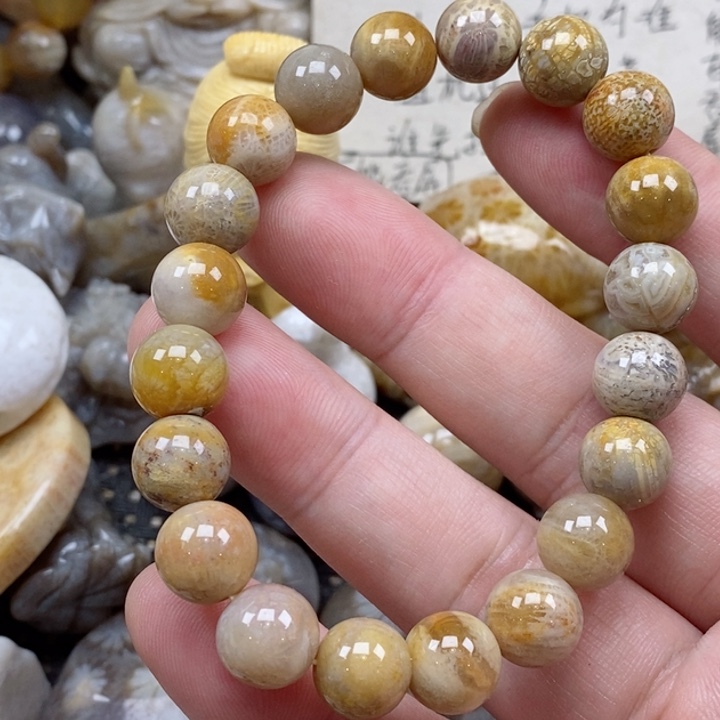 颈饰未镶嵌硅化珊瑚（珊瑚玉）