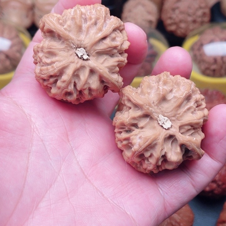 文玩核桃把件苹果园43×43×36