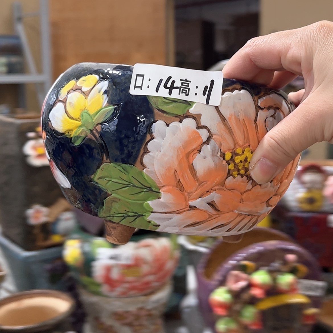 【闪购商品】红陶福利