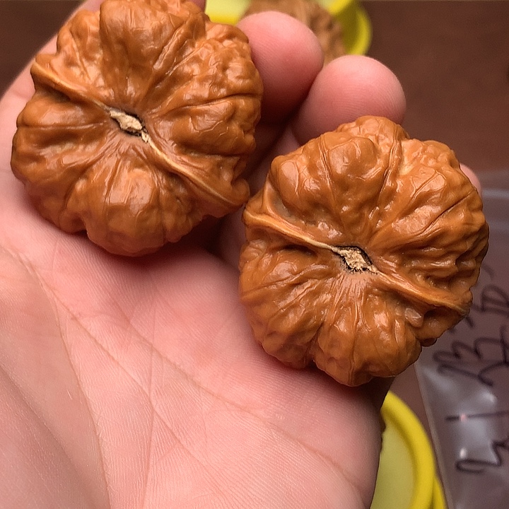 幼***父文玩核桃吊坠蛤蟆头