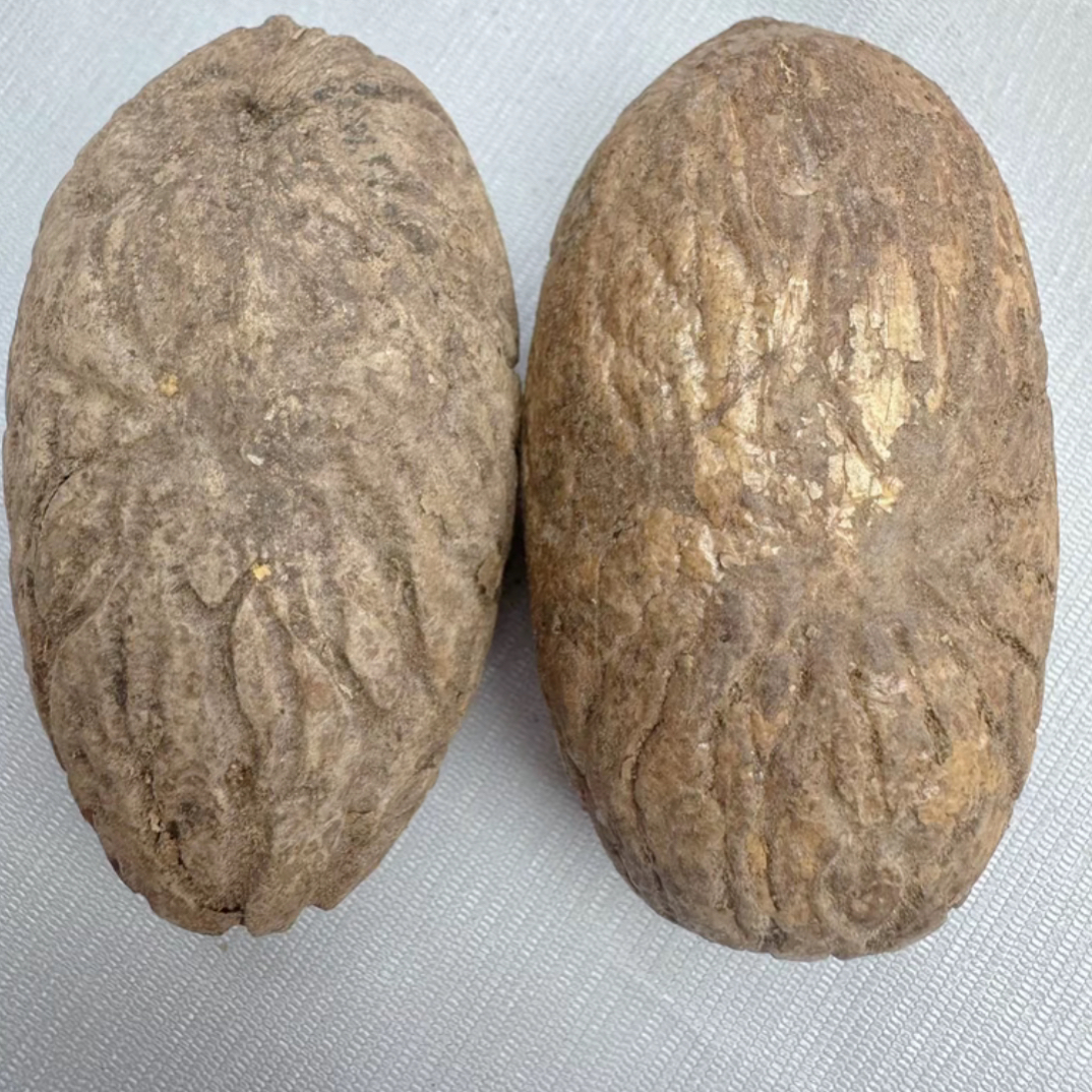 千眼菩提风化老树油果原果手把件