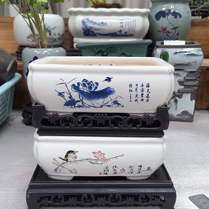 陶瓷花盆抢购精美福利