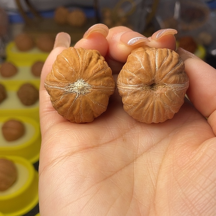 文玩核桃吊坠树纹