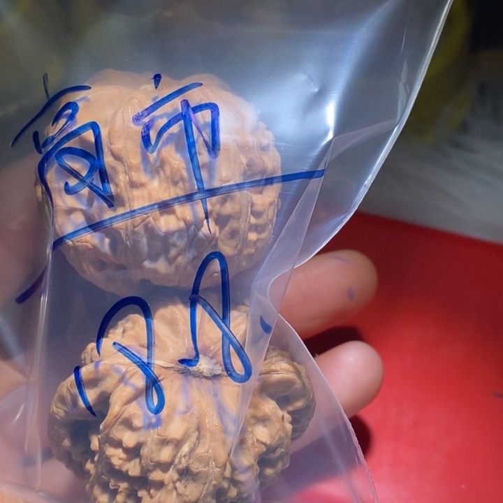 ****哥吊坠文玩核桃精品课程等课程教学工作