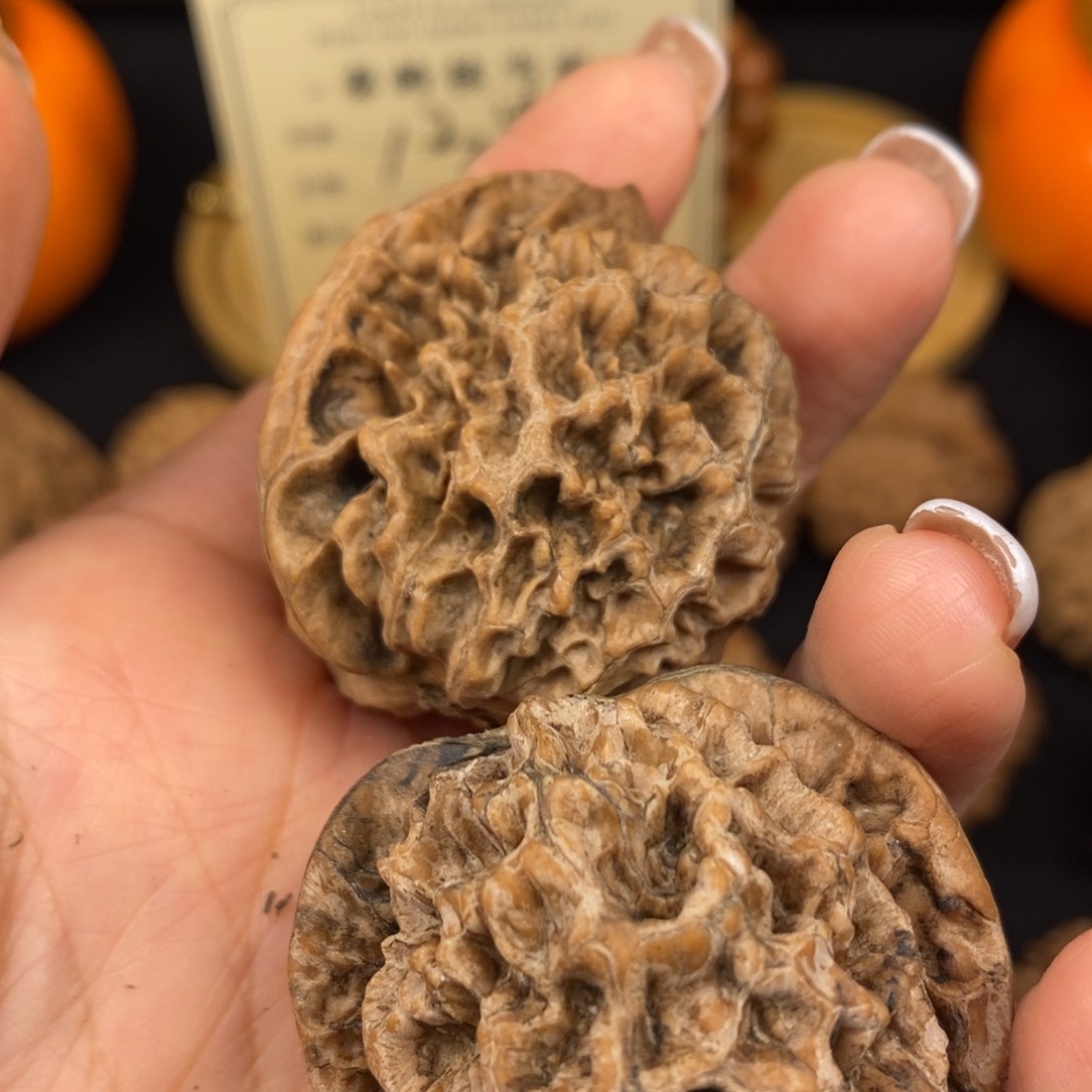 学*秦岭南风的时候是
