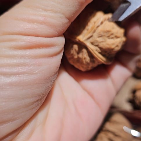 文玩核桃吊坠31三楞