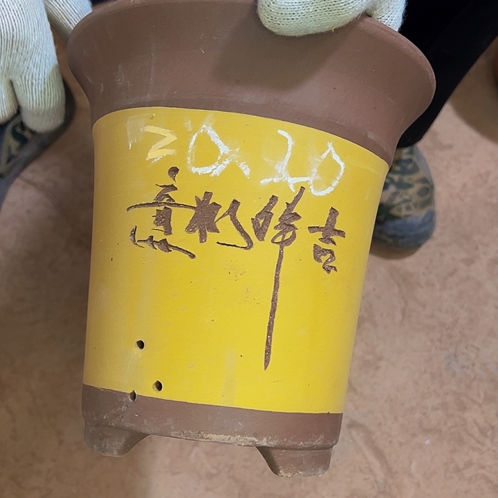 紫砂工艺厂……紫砂工艺厂……