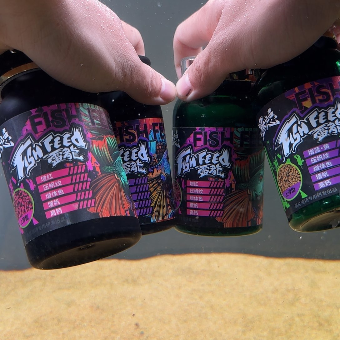 热带鱼公101111111