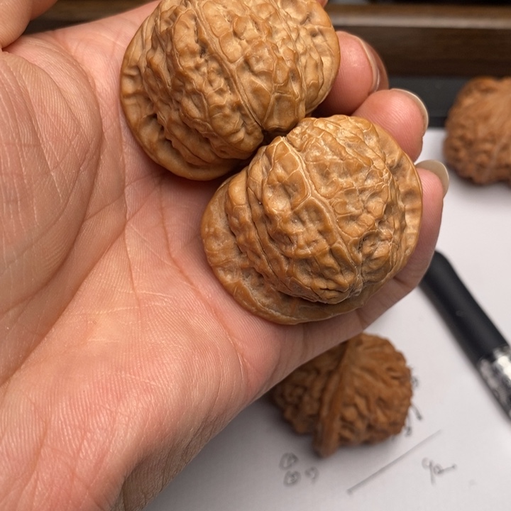 小***胖南瓜炖狮子头44尺寸